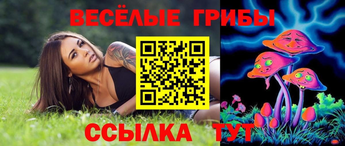 Псилоцибиновые грибы Psilocybine cubensis  Галлюциногенные грибы ЛСД  Вход с VPN  Чистополь 