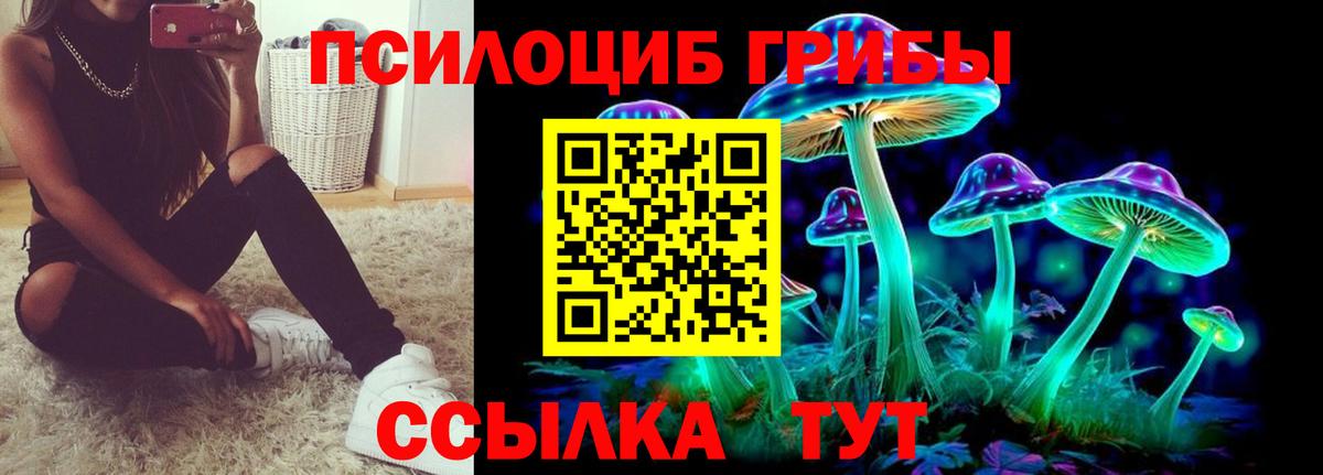 Галлюциногенные грибы Psilocybe Чистополь